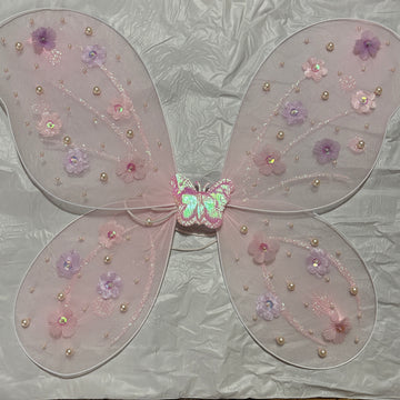 Beautiful Butterfly Wings with Birthday Dress