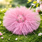 Beautiful Hair Clip of suitable birthday dress