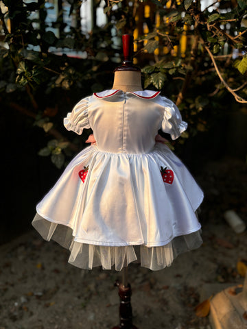 White Embroidered Collared Dress