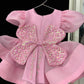 Pink Butterfly Emblished Dress