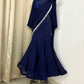 Blue stylish saree