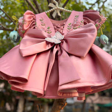 Beautiful Peach Pink Dress with 3D Butterfly