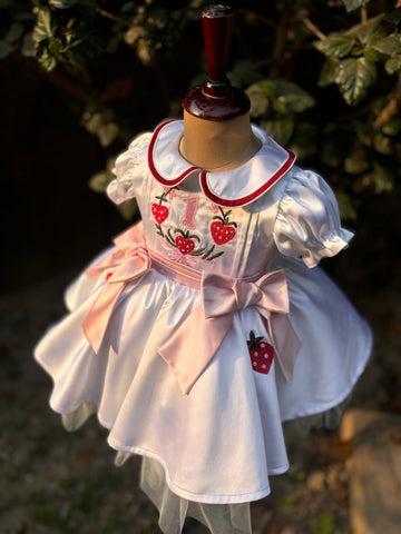 White Embroidered Collared Dress