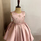 Pink Emblished Birthday Dress