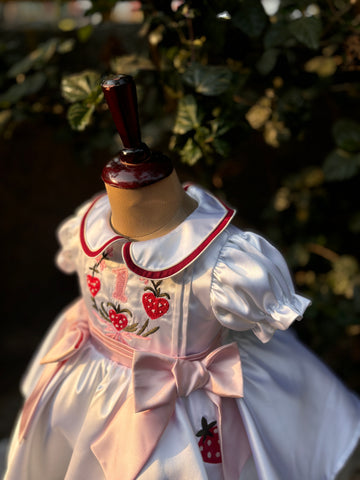 White Embroidered Collared Dress
