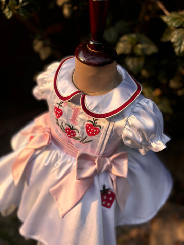 White Embroidered Collared Dress