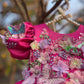 Pink Handmade Dress