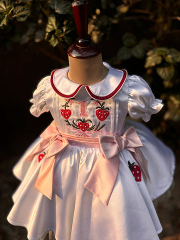 White Embroidered Collared Dress