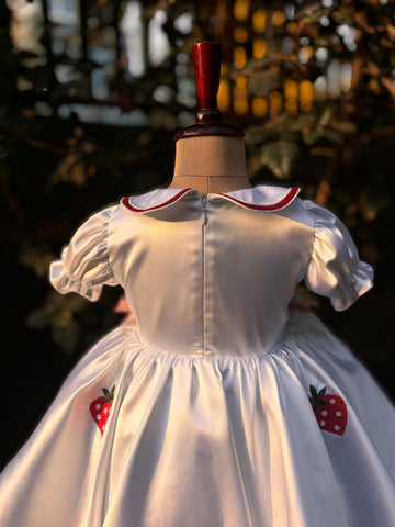 White Embroidered Collared Dress