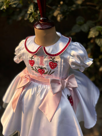 White Embroidered Collared Dress