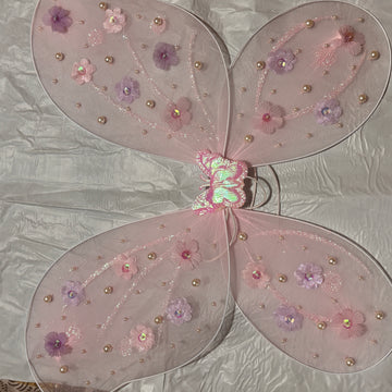 Beautiful Butterfly Wings with Birthday Dress