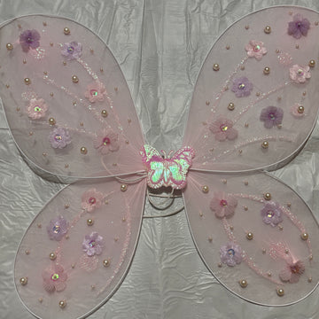 Beautiful Butterfly Wings with Birthday Dress