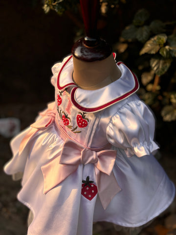 White Embroidered Collared Dress