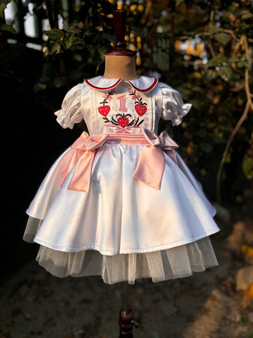 White Embroidered Collared Dress