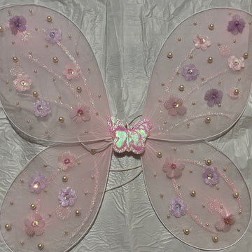Beautiful Butterfly Wings with Birthday Dress