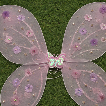 Beautiful Butterfly Wings with Birthday Dress