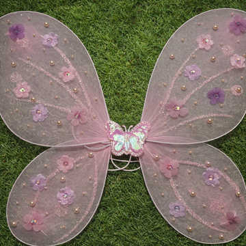 Beautiful Butterfly Wings with Birthday Dress