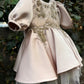 Beautiful Shampiaon colors baby dress for baby Girl