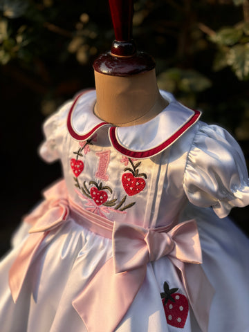 White Embroidered Collared Dress