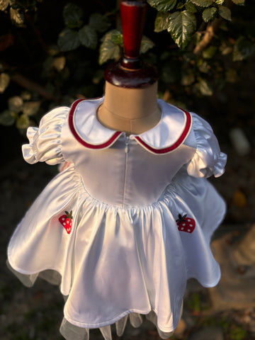 White Embroidered Collared Dress