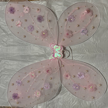 Beautiful Butterfly Wings with Birthday Dress