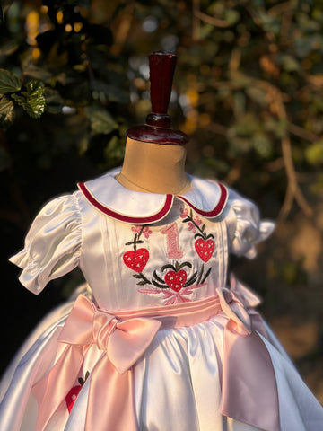 White Embroidered Collared Dress